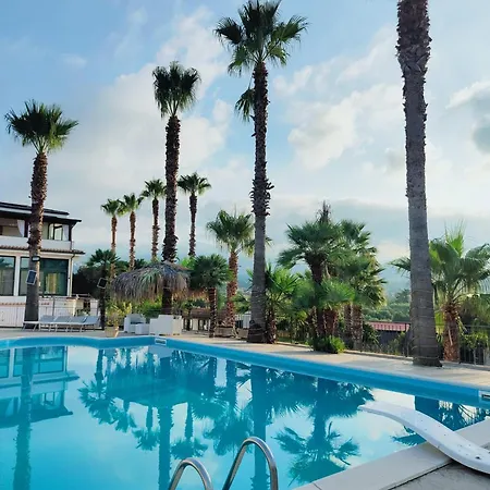 Palm House Lamezia Terme