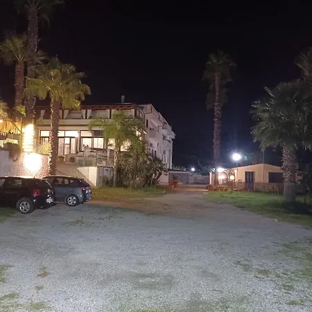 Bed & Breakfast Palm House *